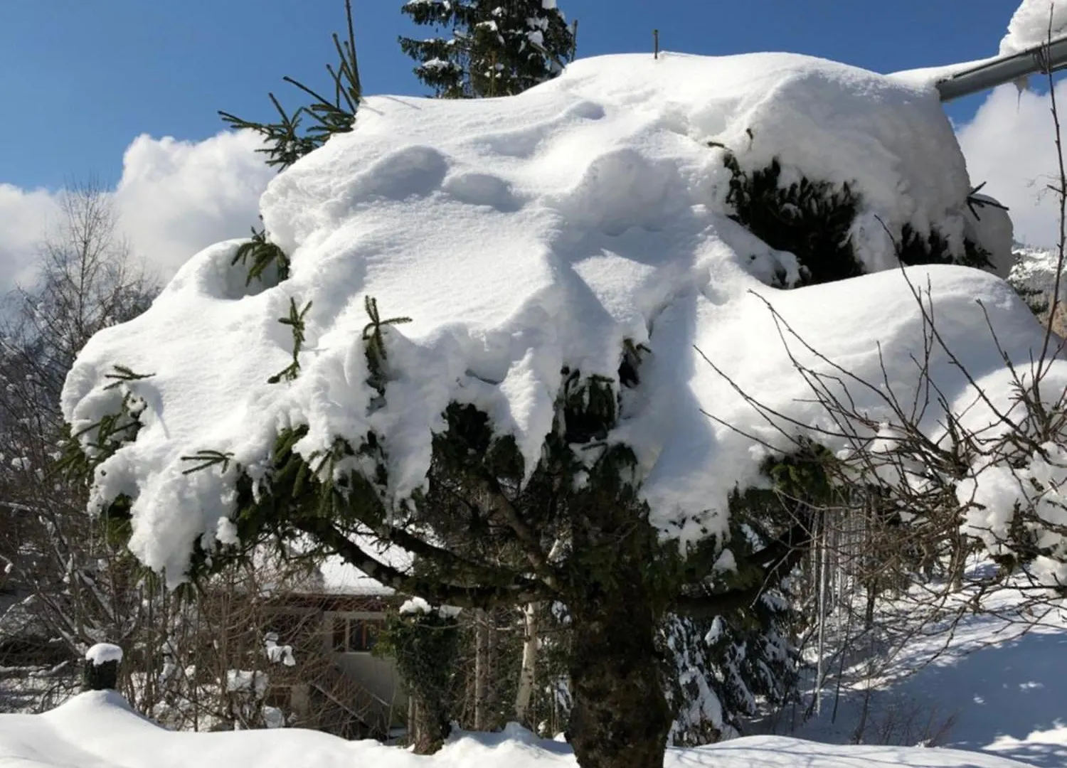 Chalet De Charme Aux Carroz D'Arraches-Flaines Les Carroz d'Araches France